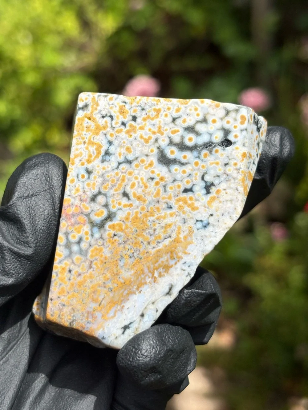 Ocean Jasper Crystal Freeform - Orbicular Jasper - Sea Jasper - Polished